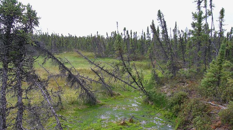 Markkollaps Misaw Lake Kanada