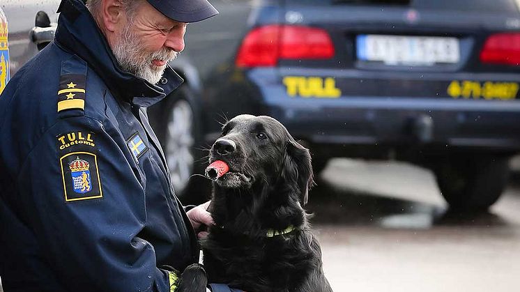 Hicka är Årets narkotikasökhund