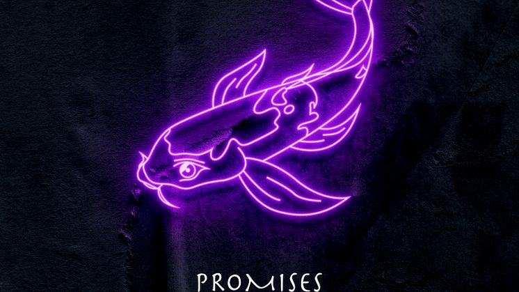 Producer team COY release their single "Promises"