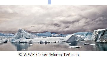 Canon förnyar samarbetet med Världsnaturfonden WWF och stöder expedition till det sista istäckta området i Arktis