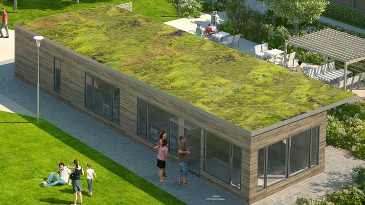 Gröna tak har många positiva effekter på miljön! (Bilden är en illustration)