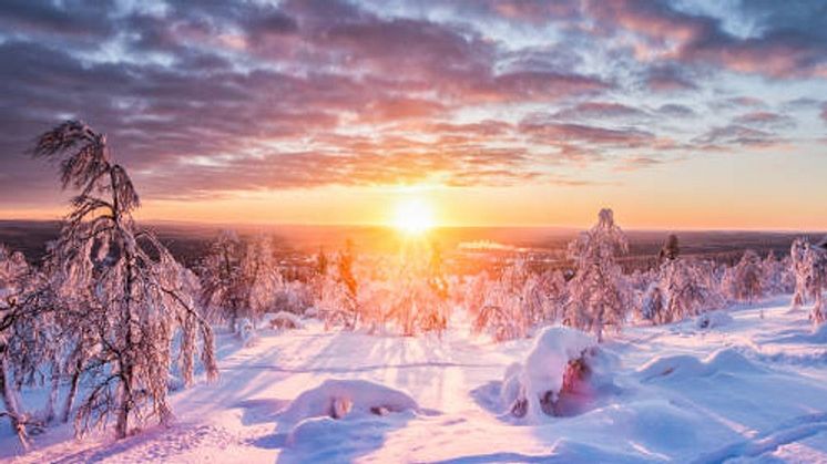 Charter från Amsterdam till Skellefteå etableras