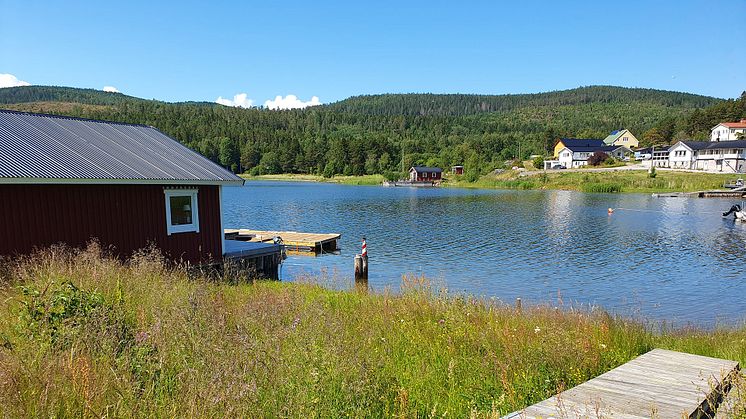 KSLA har valt in nio nya ledamöter i Allmänna avdelningen.