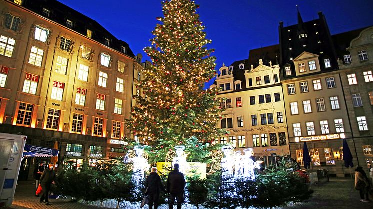 Weihnachtsbaum mit Lichtillumination "Chor der Engel" auf dem Markt - Foto: Andreas Schmidt