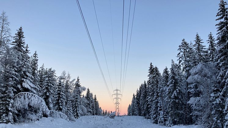 En mer oförutsägbar framtid