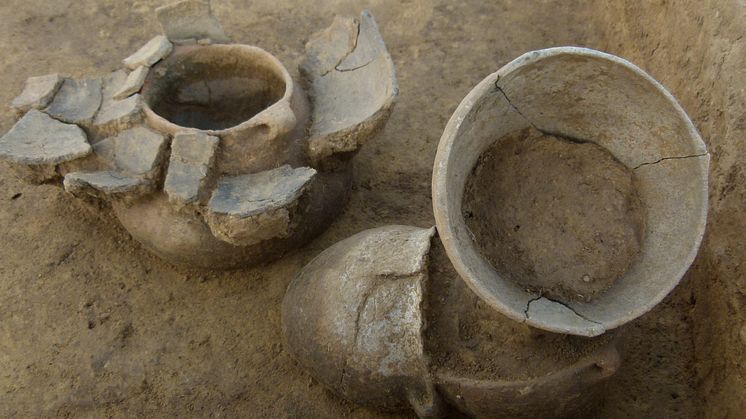 Example of pottery roughly 6,000 years old from the Lublin-Volhynian agrarian culture, Książnice 2, Poland. Photo credit: Stanisław Wilk