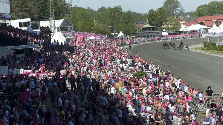 Publik på Solvalla. Foto: Lars Jakobsson/TR Bild