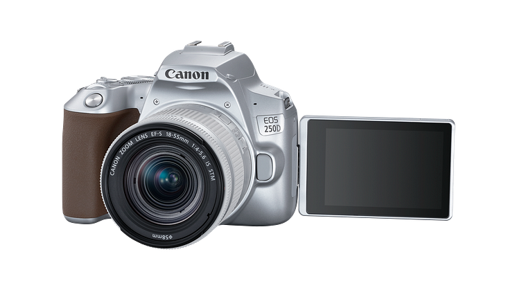 Canon EOS 250D Silver 