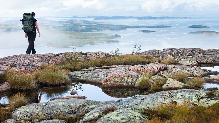 Höga Kusten levererar återigen på topp