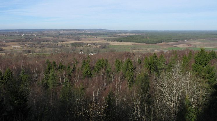 Utsikten från Höge klint i Lena borgs naturreservat. Foto: Länsstyrelsen i Västra Götaland