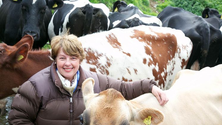 Arla farmers call on shoppers to make a positive difference to the UK dairy industry