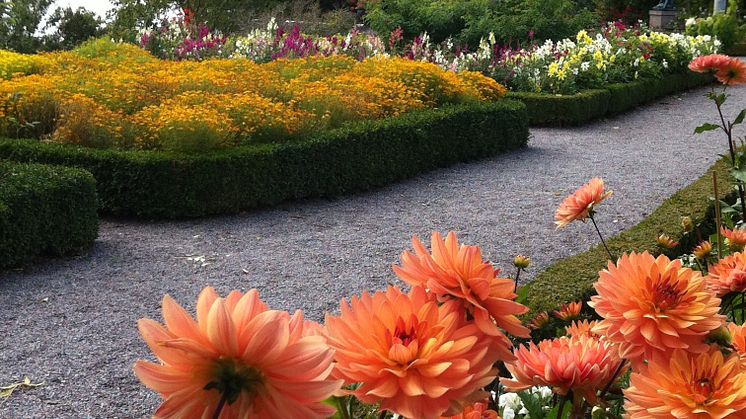 Sensommar i prinsens park