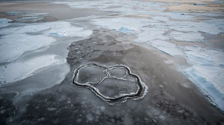 Havsis sett från isbrytaren Oden. Foto: Björn Eriksson