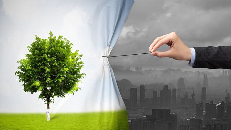 Why companies must urgently greenwash-proof their Sustainability Reports