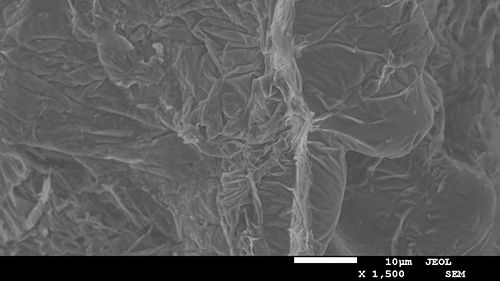 SEM photograph of the fracture surface of a tensile test specimen