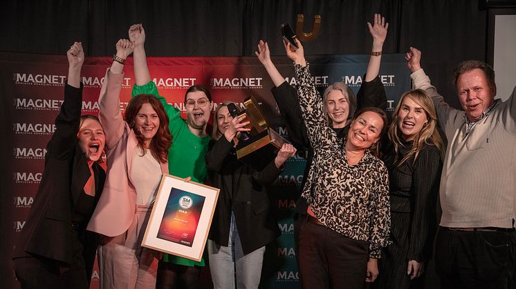 Team Apotek Hjärtat, guldvinnare av årets Grand prix-kategori i The Magnet Employer Branding Awards