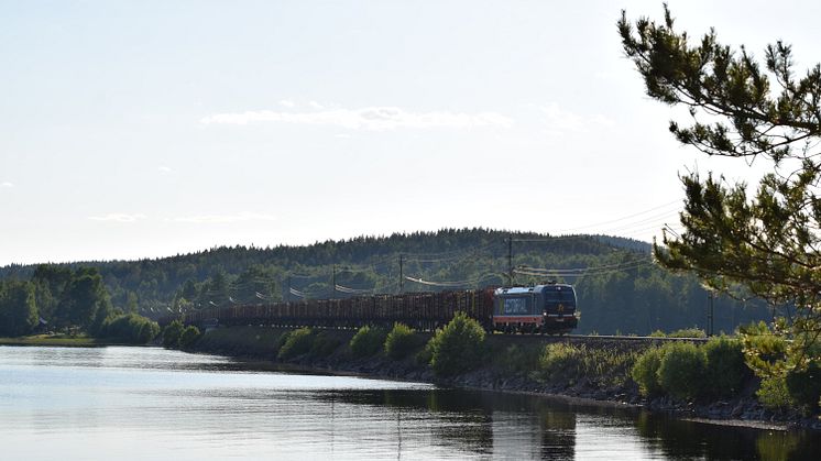 Fotograf: Stellan Ekdahl