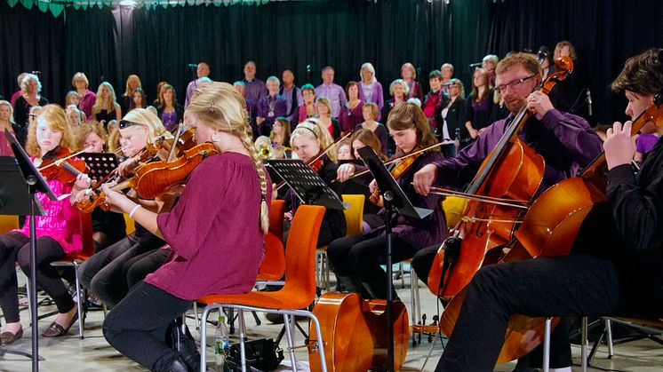 Kulturskolan i Sjöbo har lediga platser