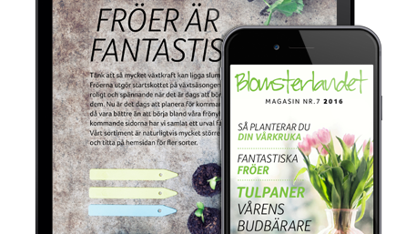 Nytt nummer! Blomsterlandets digitala magasin för mobil och läsplatta.
