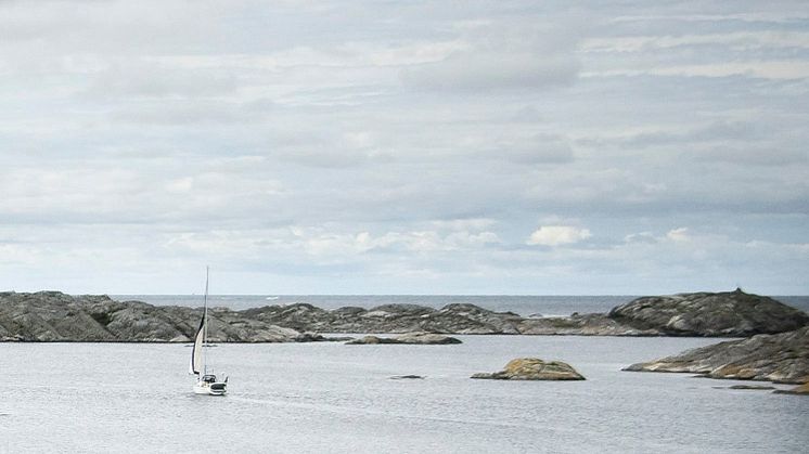 HaV inför krav på utbildning och tillstånd för trålfiske i Kosterhavet