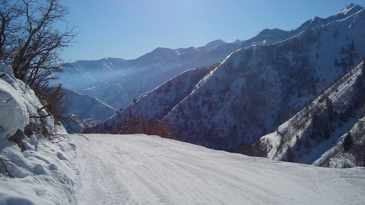 PRICES SLIDE DOWNHILL  AS SNOW FINALLY HITS THE ALPS