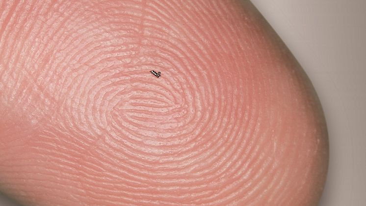 Mini-implantatet som hjälper till att sänka trycket i ögat är en millimeter stort.