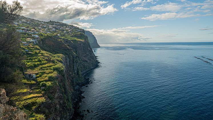 Im Dezember mit alltours nach Madeira