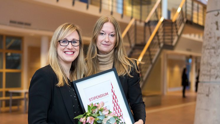 Bioenergistipendium till doktorand vid Linnéuniversitetet