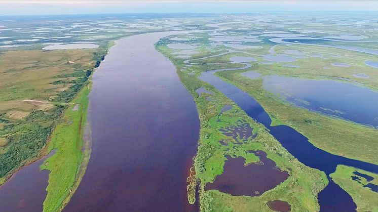 Floddelta i västra Sibirien. Foto: Egor Istigechev