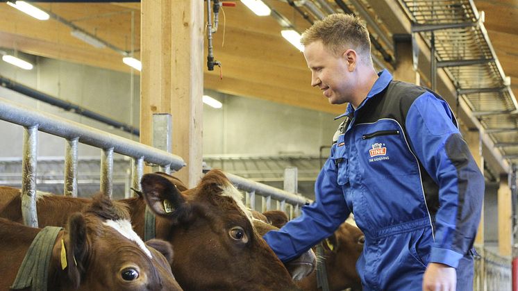 Doktorgradsstudent Kim Viggo Weiby jobber med å utvikle klimafôr.