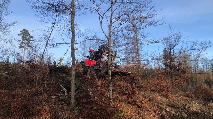 Omfattande insatser i Eslöv efter stormen Malik