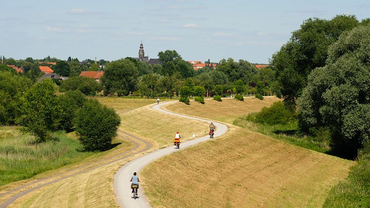 Die Prignitz und der Elberadweg sind ein Paradies für Radfahrer. Foto: TMB-Fotoarchiv/Böttcher+Tiensch.