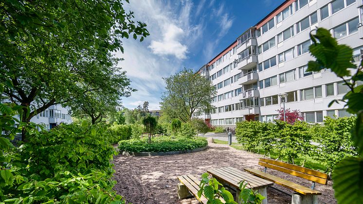 Willhem expanderar och utvecklar organisationen