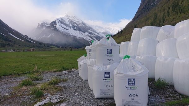 Gjødselen har steget voldsomt i pris. Her fra Fjærland, Vestland.