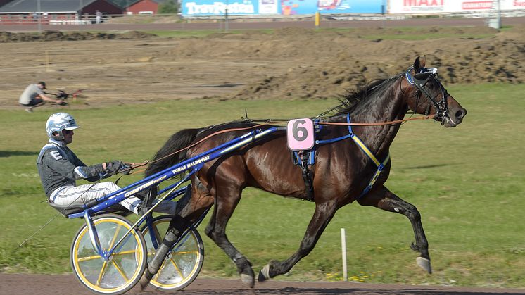 Calle Crown kommer hem för att starta i Hugo Åbergs Memorial. Foto: Lars Jakobsson