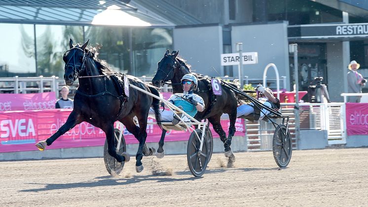 Don Fanucci Zet vann Elitloppet 2021. Nästa år höjs förstapriset till fem miljoner kronor. Foto: TR Bild.