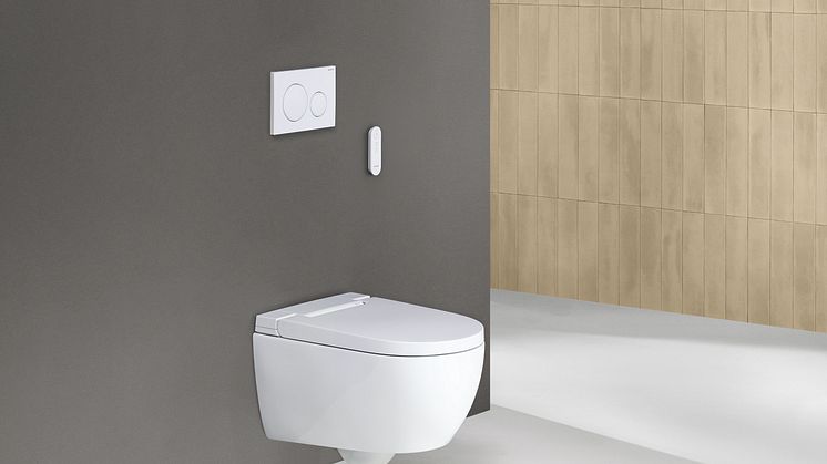 2024_Geberit AquaClean Alba_Private_Remote control_Sigma20_grey_no_deco_Original