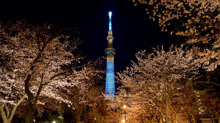 TOKYO SKYTREE at Sumida park