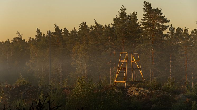 Syntolkning: genrebild på jakttorn i skogen 