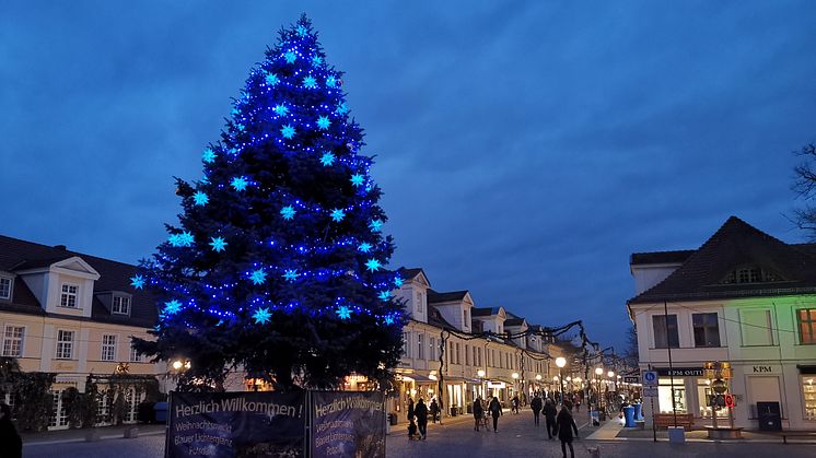 Blauer Lichterglanz zur Weihnachtszeit