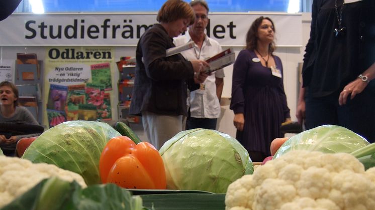 Studiefrämjandet på Bok och bibliotek