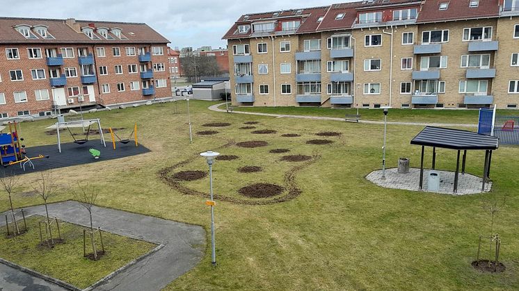 Spaden i marken för HSB Skånes projekt för ökad biologisk mångfald