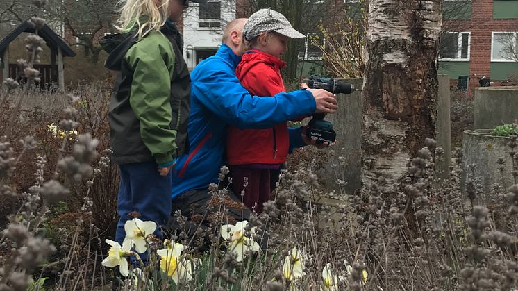 Tillsammans med bland andra boende i området och elever på Stenkulaskolan har MKB skapat hem för de allra minsta djuren i staden. 