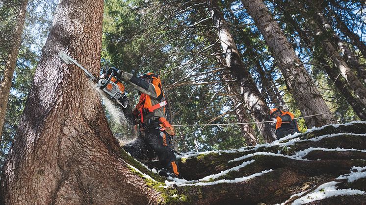 STIHL lanserar MS 462 - lättaste sågen i 70 cc-klassen