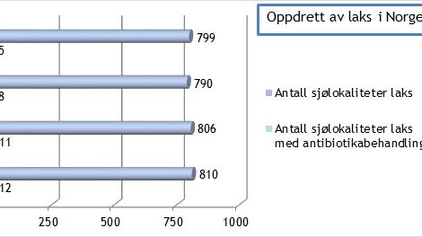 5 av 799 norska laxodlingar använde antibiotika under 2016.