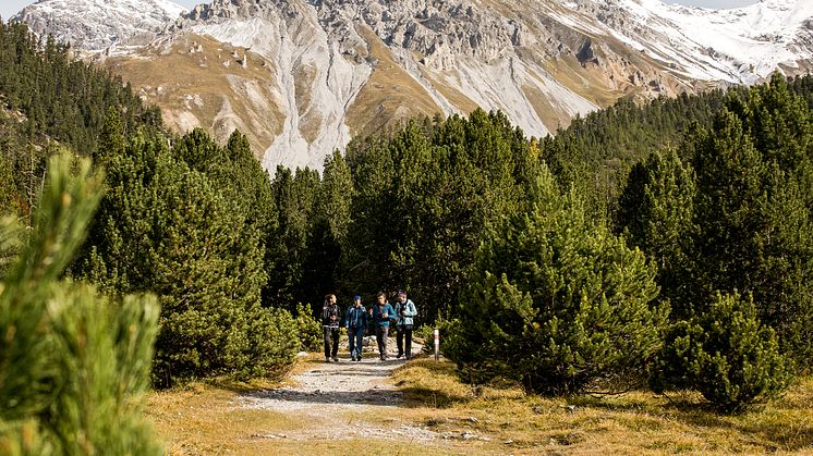 Wandern im Schweizerischen Nationalpark in Graubünden (c) Schweiz Tourismus, Nicola Fürer