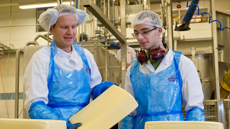 Orkla og Tine satser på norsk Cheddar