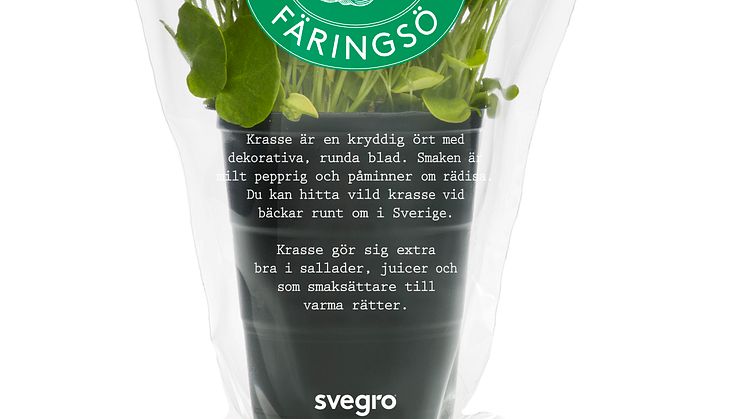 Svegro Vilda Smaker - ekologisk krasse