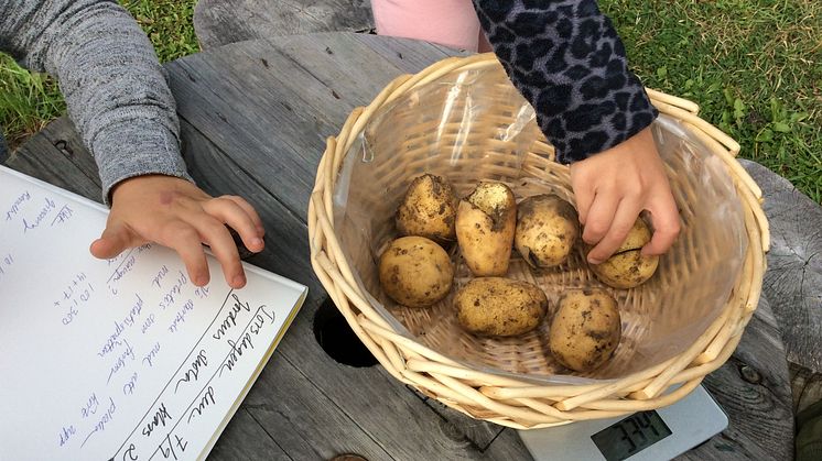 Odlingen och de olika biotoperna är uteklassrummen hos Norrtälje Naturcentrum. Utomhuspedagogik är inte bara kopplat till biologi och naturvetenskap, utan samhällskunskap, historia, matematik och språk.