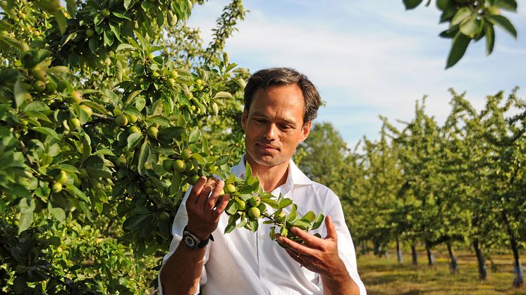 Jérôme Dupont på Domaine Dupont som den 3 mars lanserar en stilla cider – Blanc de Pommes i Systembolagets Tillfälliga sortiment: Nr 94355 · Flaska 750 ml · 8 % · Pris: 136,80 kr · Antal flaskor: 480.